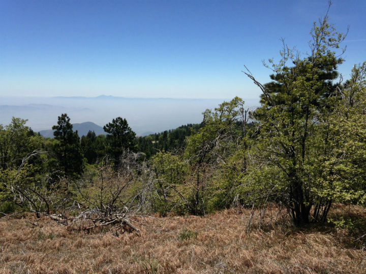 San Bernadino